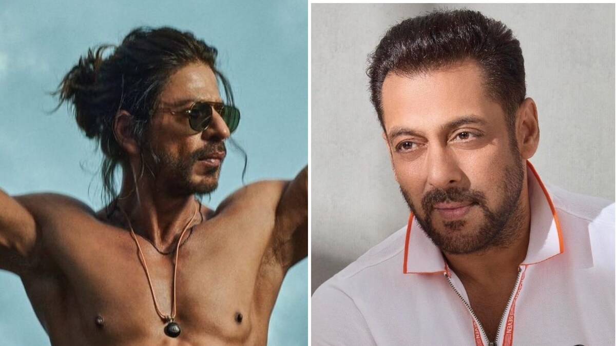 Tiger 3 Salman Khan Shah Rukh Khan Not Coming Together For Action Scene Co Star Anant Vidhaat 