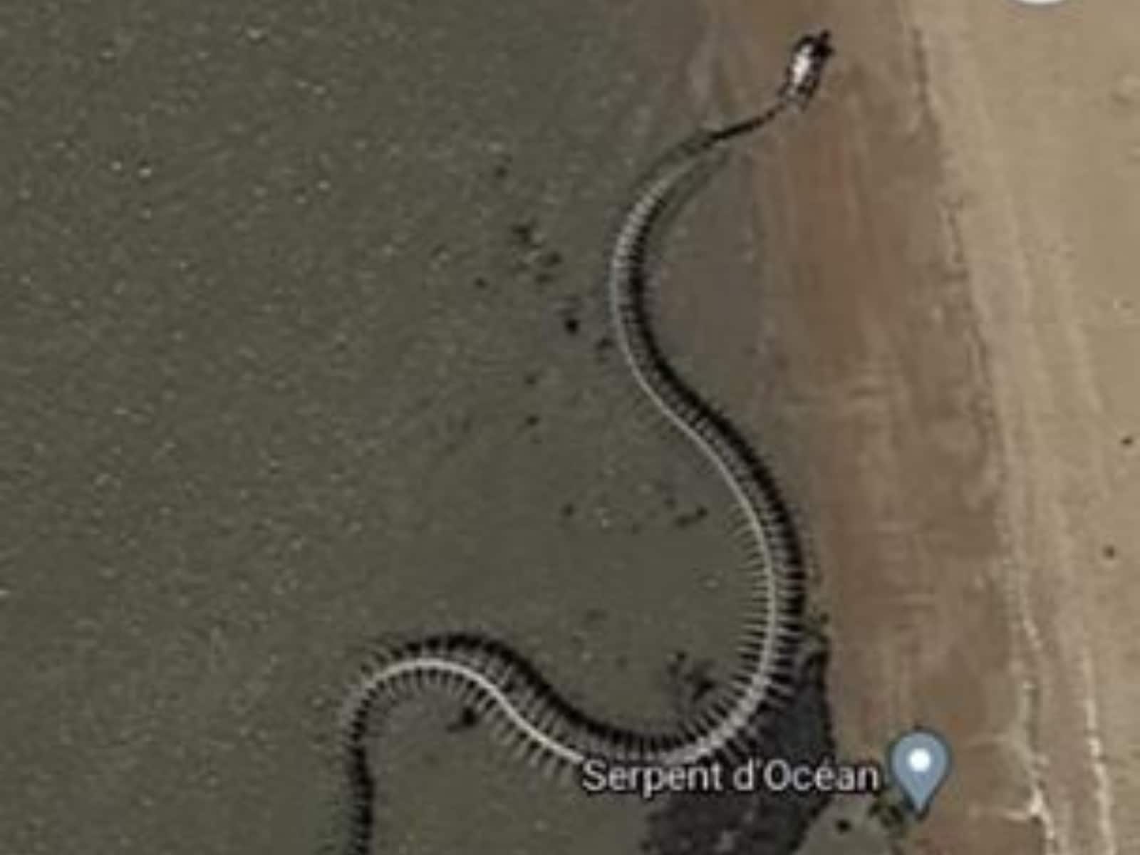 Esqueleto de cobra gigante encontrado no Google Maps! #shorts