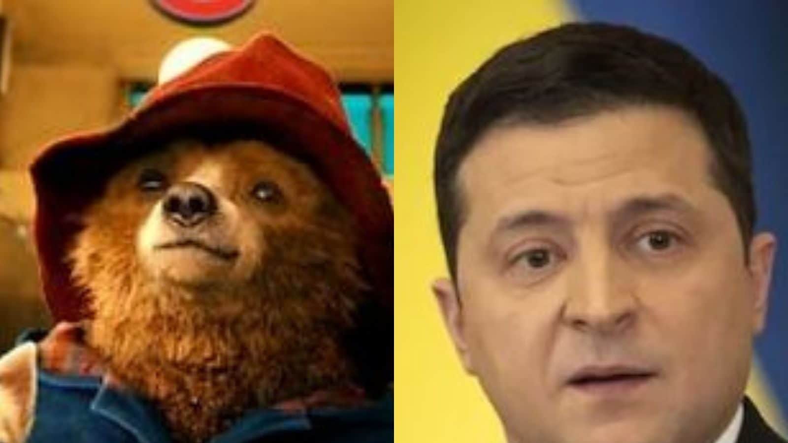Ukrainian President Volodymyr Zelensky was the Voice of Paddington Bear in Ukraine
