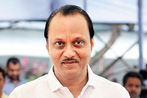 NCP leader Pawar made the comments, apparently aimed at Maharashtra Governor Bhagat Singh Koshyari, at Pune's MIT College ground(PTI)