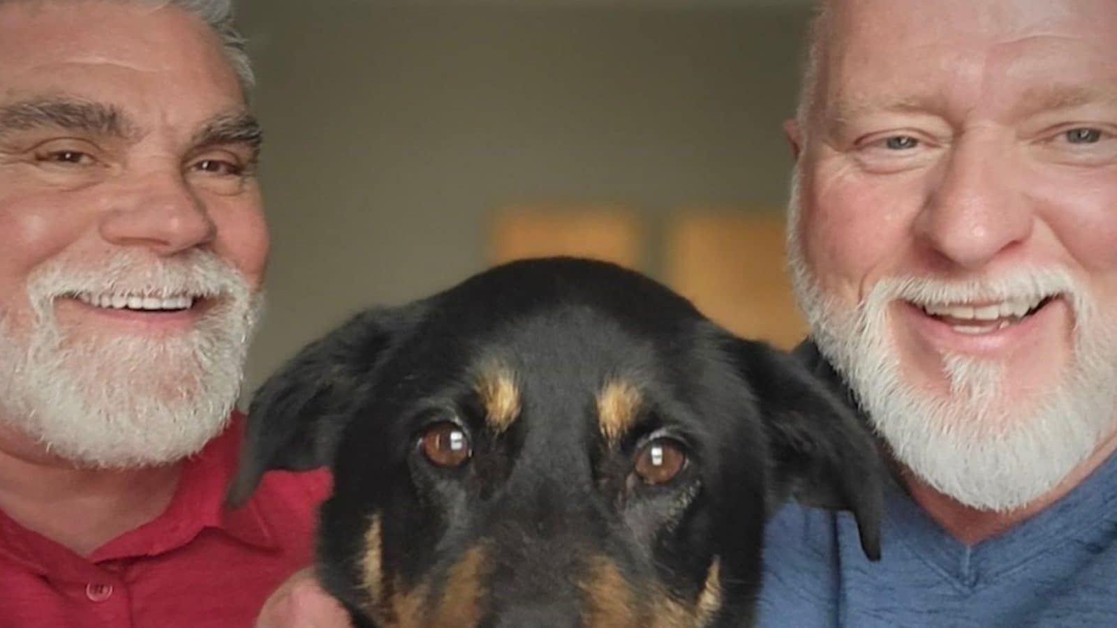 Dog Abandoned for Being 'Gay' Gets Adopted by Same-sex Couple | Buzz ...