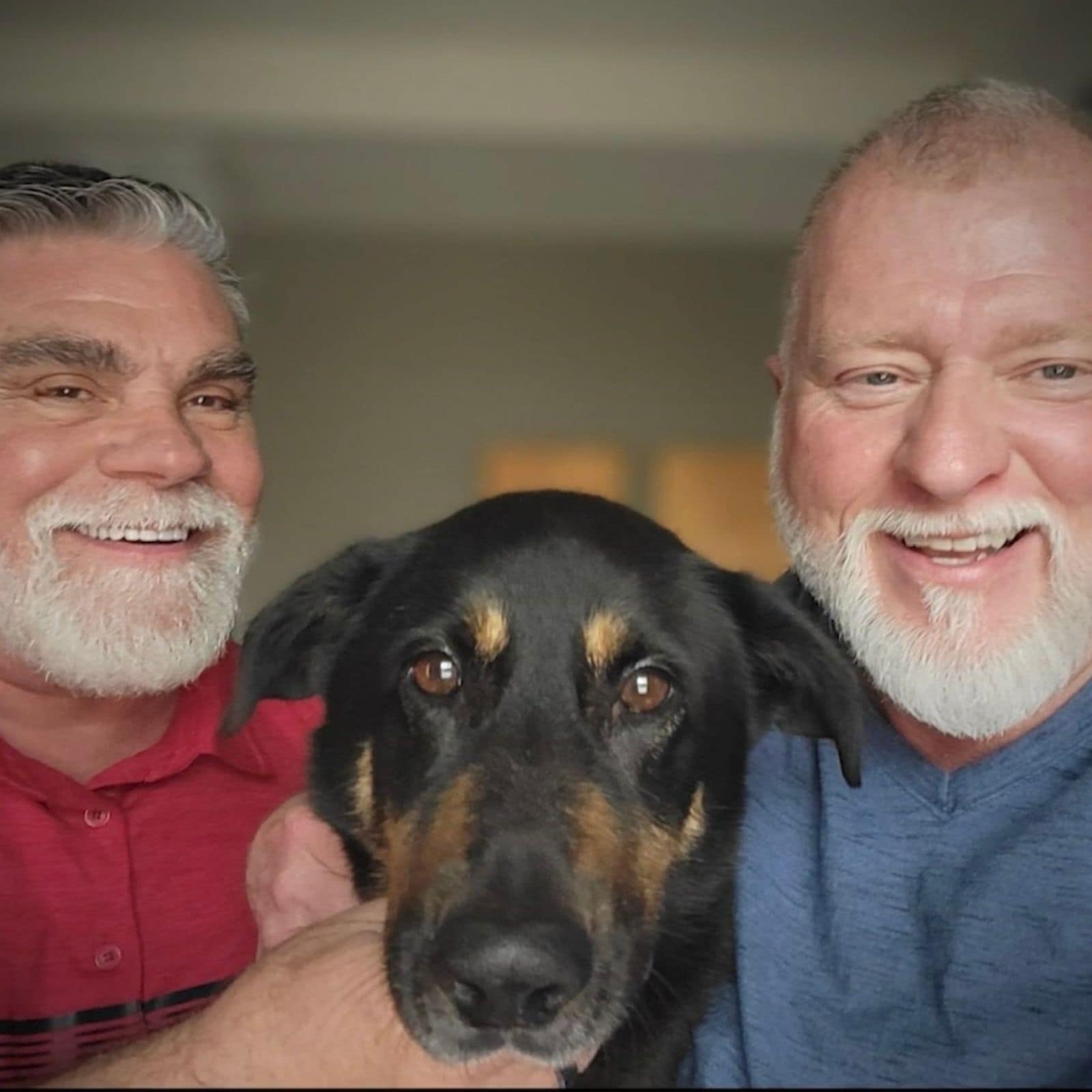 Dog Abandoned for Being 'Gay' Gets Adopted by Same-sex Couple - News18