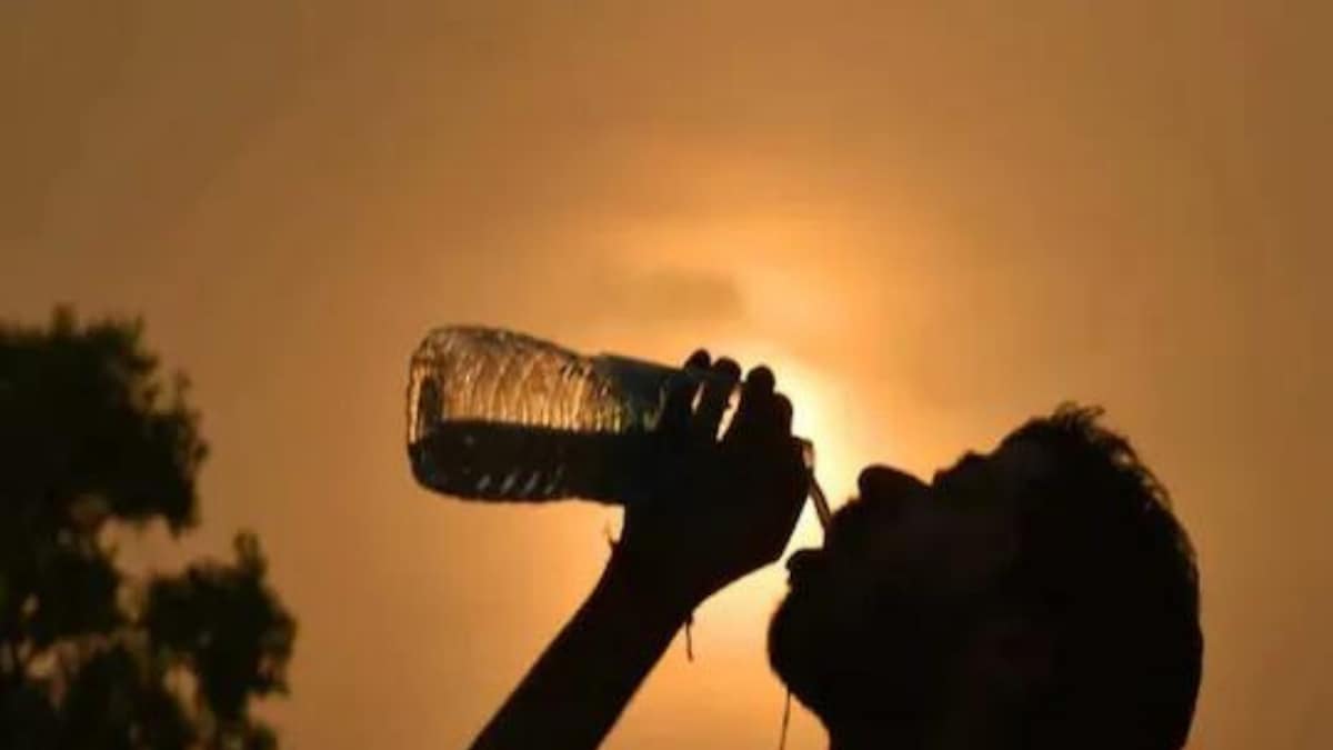 Heatwave Warning for Mumbai, 5 Other Maharashtra Districts; Check Full IMD Forecast Here