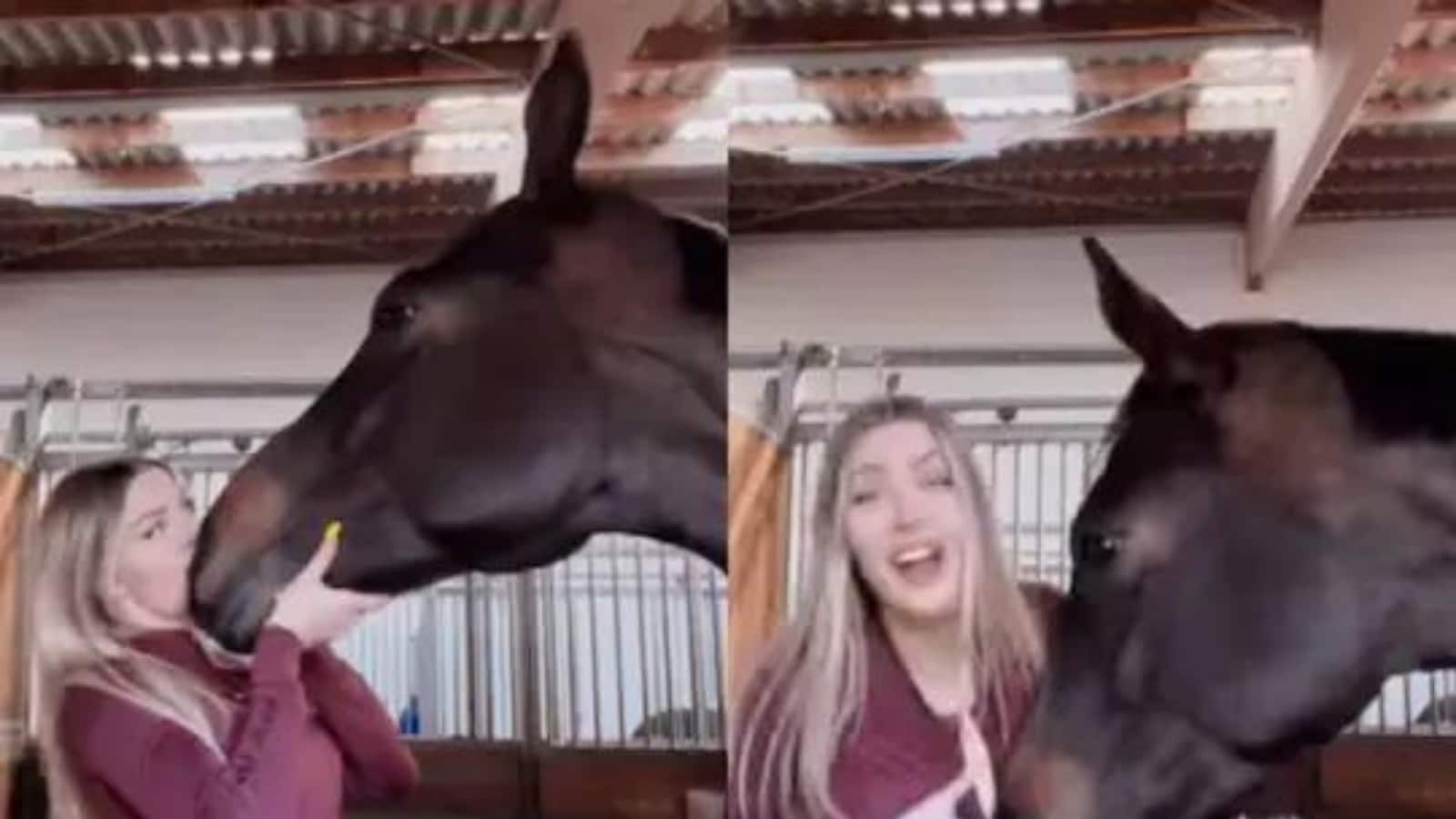 German Model's Horse Unzips her Top in Instagram Trend, Video Goes Viral -  News18
