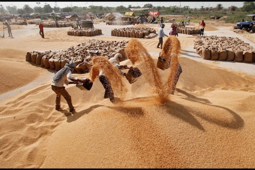 The daily average retail price of wheat in India increased 19.34 per cent to Rs 29.49 per kg on May 9, compared with Rs 24.71 per kg a year ago. (Photo: Reuters)