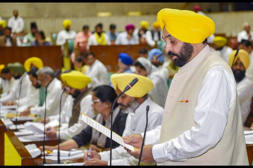 Punjab Chief Minister Bhagwant Mann speaks during the one-day special sitting of the first session of the state Assembly, in Chandigarh, on April 1, 2022. (PTI Photo)