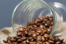 Spilling Beans to Spot Differences Between Arabica and Robusta Coffee
