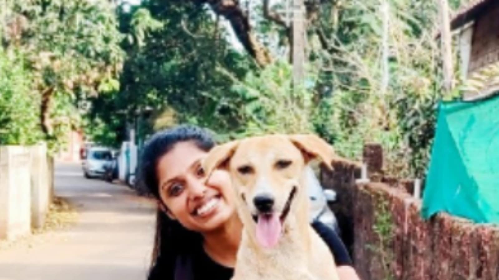 Adorable Dog from Goa Takes Random Rides with Travelers, Take a Sneak ...