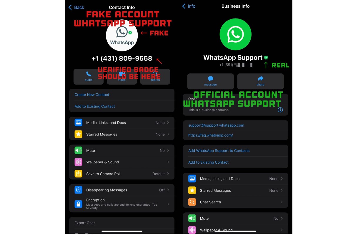 Beware Of Fake WhatsApp Support Accounts, They Can Steal Your Data And ...