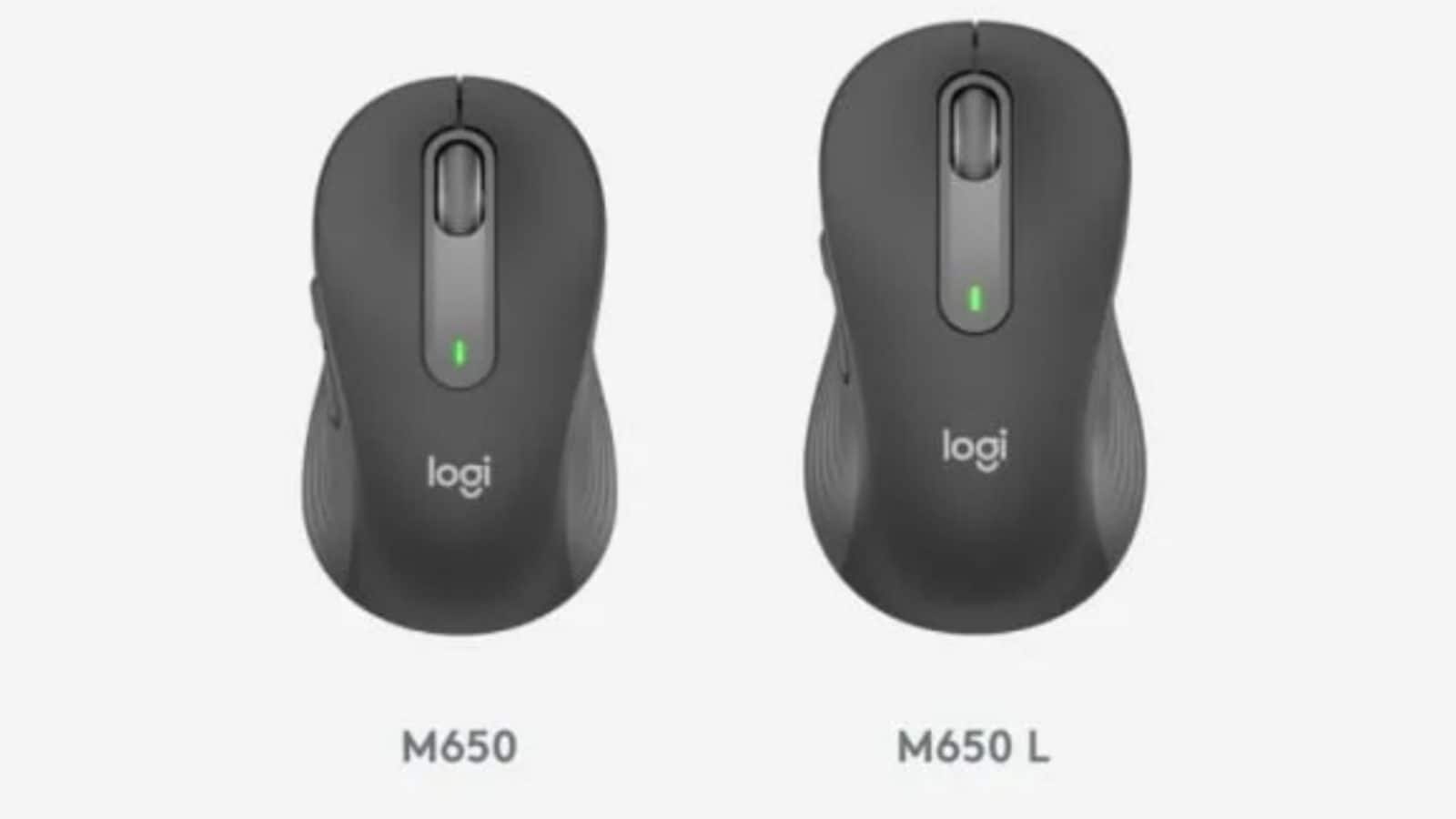 Logitech Launches Two Productiveness-Targeted Wi-fi Mouse in India: All Particulars
