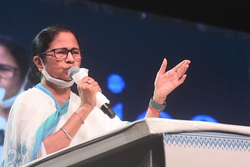Experts have cited two reasons behind the TMC chief laying such emphasis on her party's preparations for the panchayat polls. (File pic/PTI)
