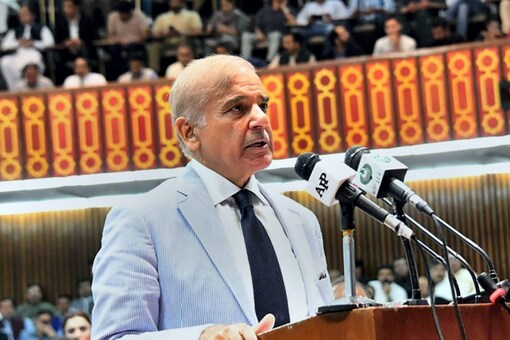 Shehbaz Sharif said he wants peace between neighbours India and Pakistan. (AP/PTI Photo)
