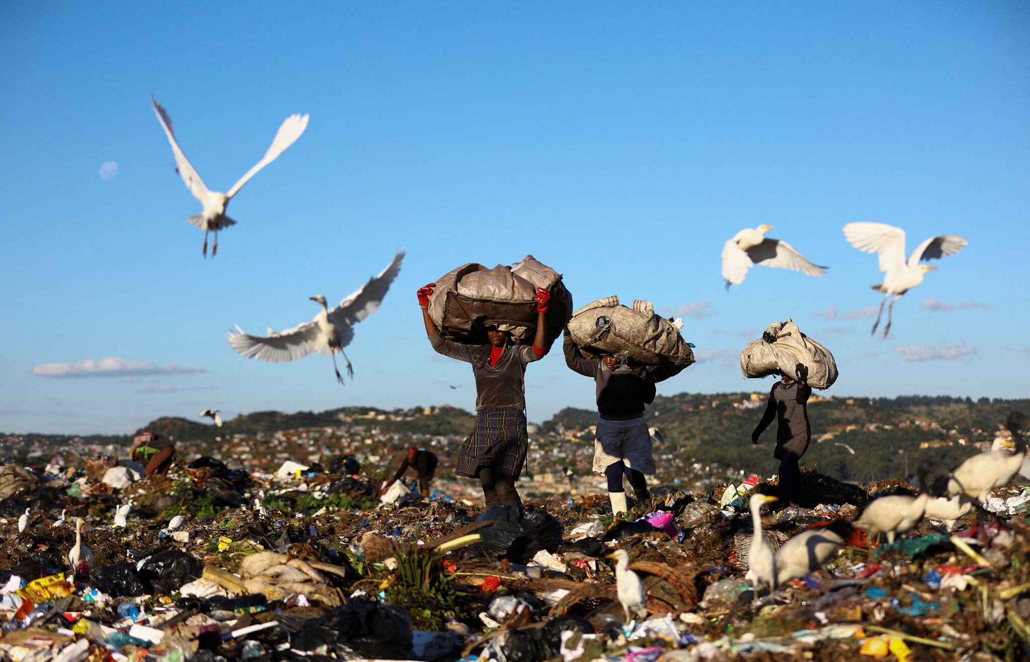 So2 Particulate As Delhi's Bhalswa Landfill Burns, Know Why it is Lethal and Reason ...