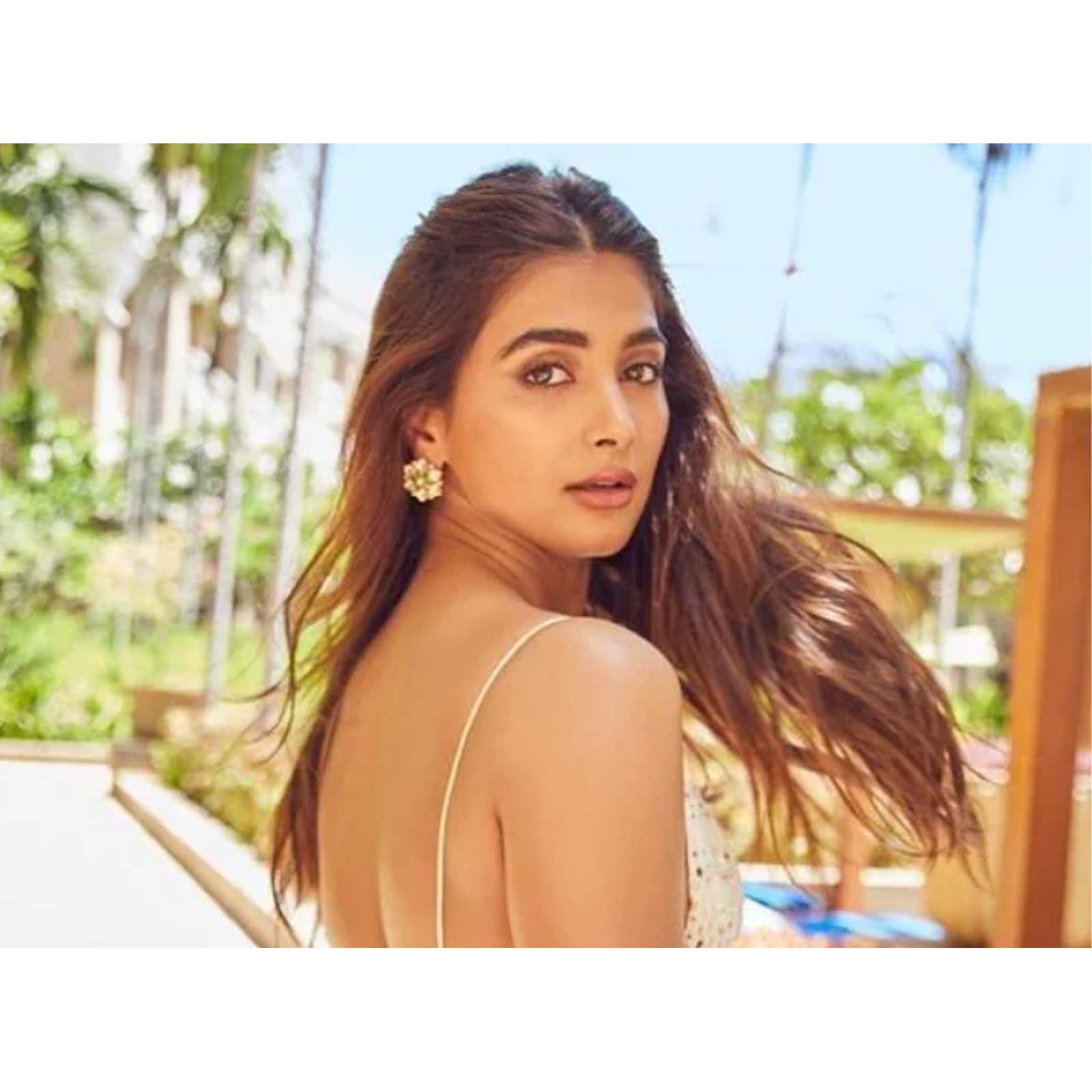 Pooja Sexy Sexy Sexy Sex - Pooja Hegde Flaunts her Beauty in Saree in Latest Photo Shoot - News18