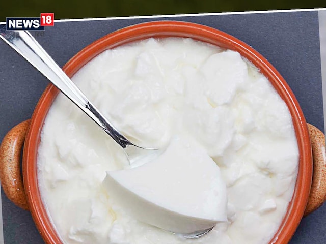 Everyone knows how beneficial curd is in our weight loss journey.