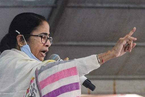 West Bengal CM Mamata said the state needs more manpower and infrastructure. (File photo: PTI)