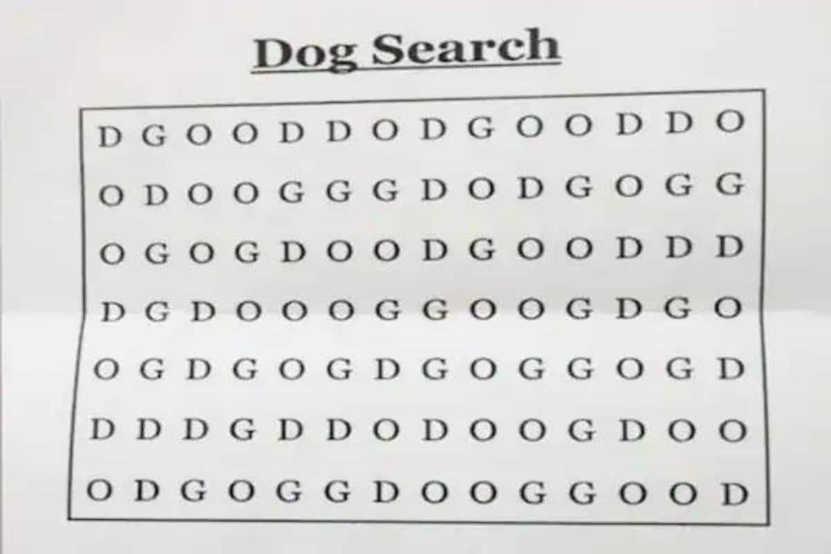 Can You Spot 'Dog' in This Word Search Dubbed 'Hardest in The World'?