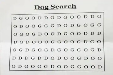 What's the world's hardest puzzle?