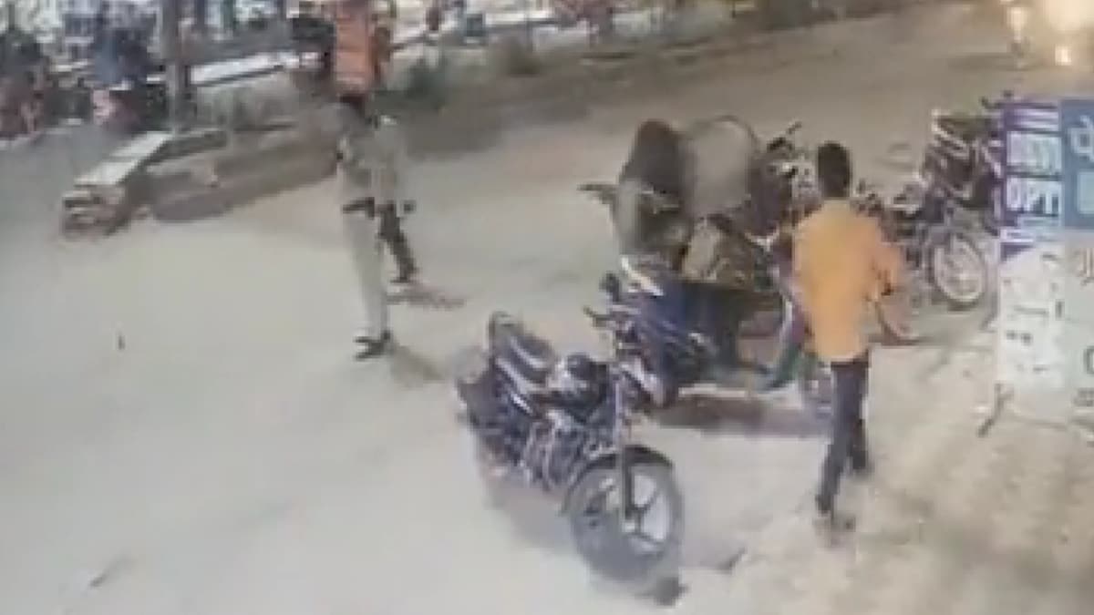 Watch: On Duty Delhi Cop Attacked By Bull in Dayalpur Area