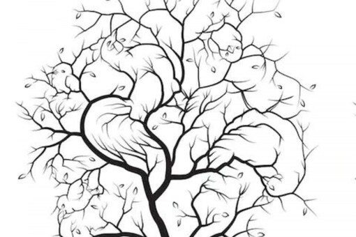 This Optical Illusion Challenges You To Find 5 Hidden Animals On A Tree This Optical Illusion Challenges You To Find 5 Hidden Animals On A Tree