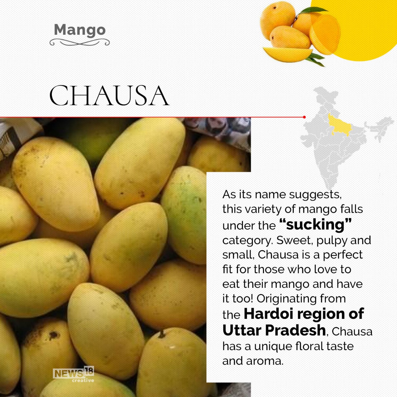Mango Season is Here! Juicy Facts about the Summer Fruit That You Must ...