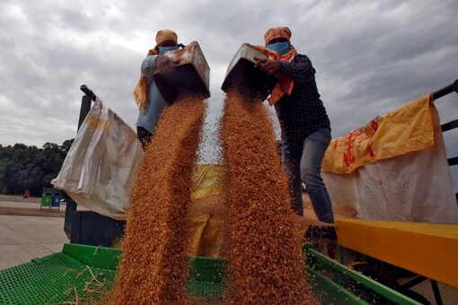 New Delhi -- which had previously pledged to supply wheat to countries once dependent on exports from Ukraine -- said it wanted to ensure food security for India's 1.4 billion people. (Reuters File Photo for Representation