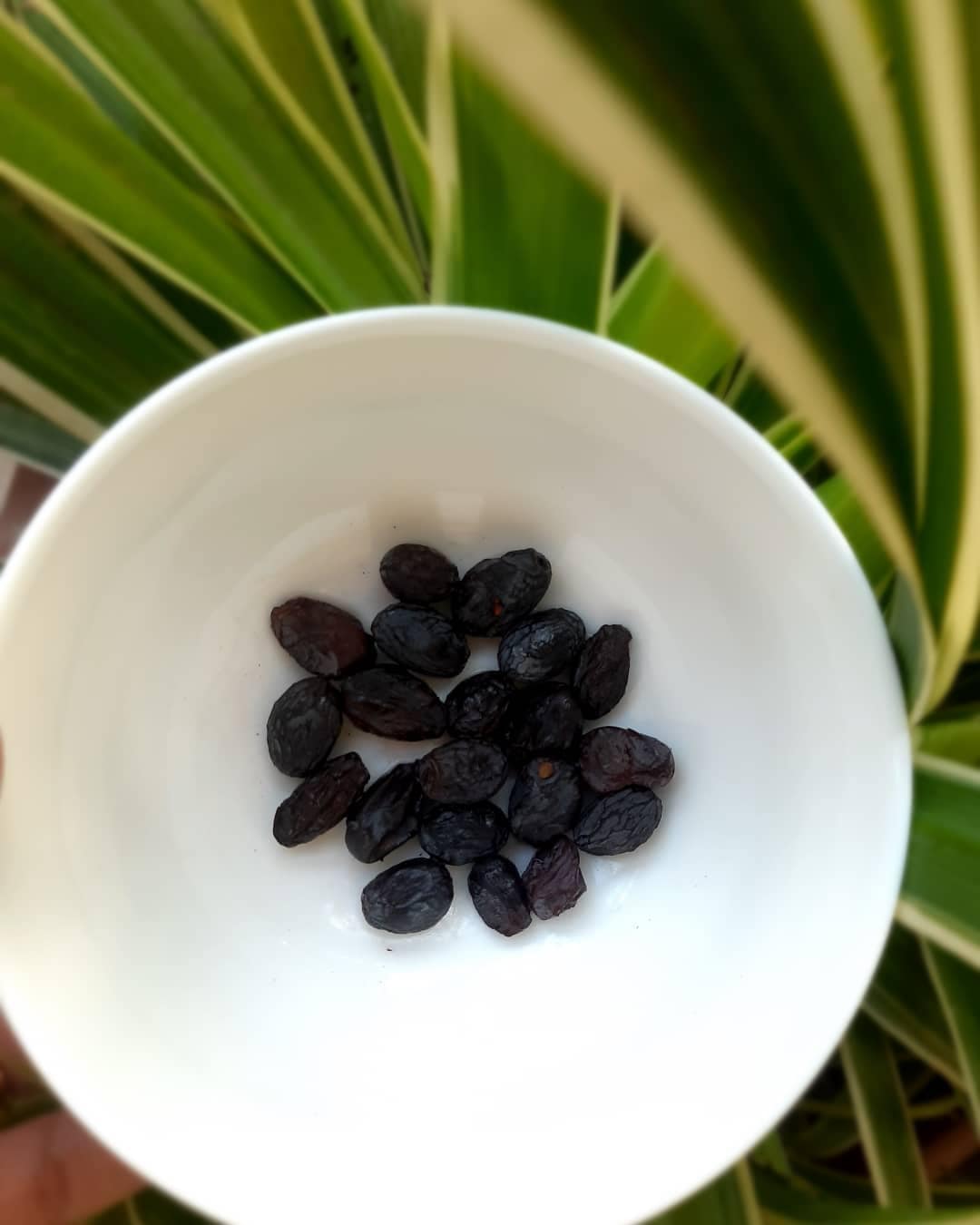 12 Health Benefits of Benefits of Black Raisins