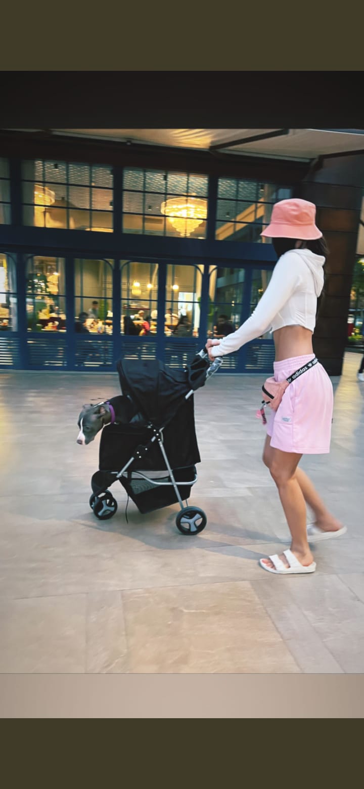 Disha Patani takes her dog out on a stroll, shares picture.