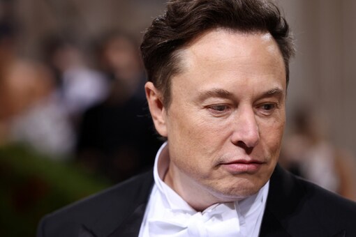 Elon Musk Sued for $258 Billion for Running 'Dogecoin Pyramid Scheme': Know  Details
