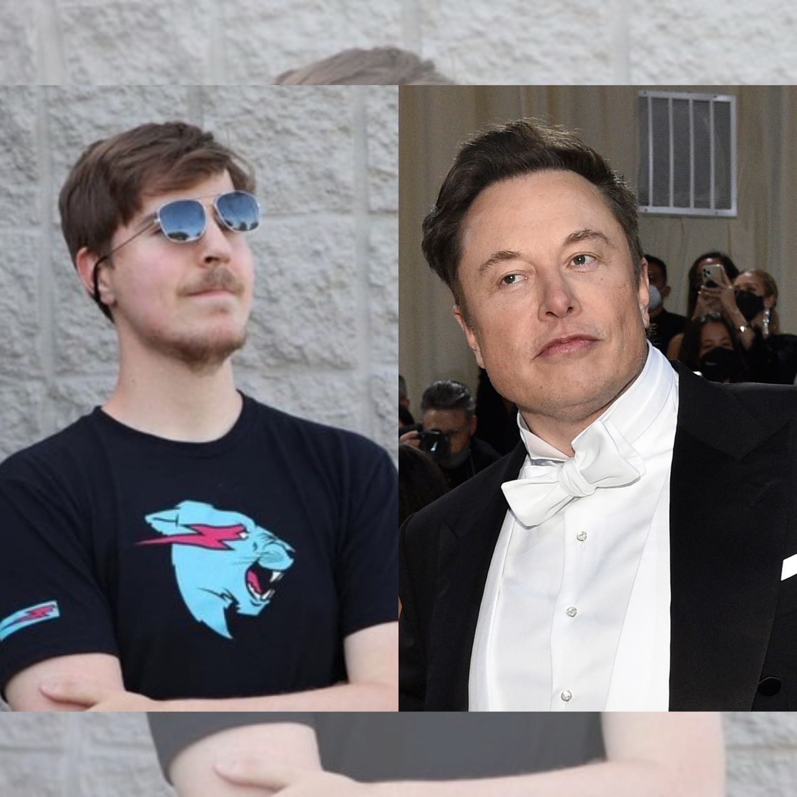 r Mr Beast Can Keep Twitter If Elon Musk Dies Mysteriously: 'No  Takesies Backsies' - Business