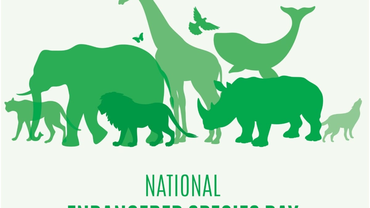 National Endangered Species Day 2022 History, Significance and