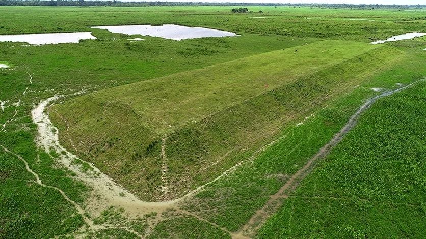 Kaziranga National Park