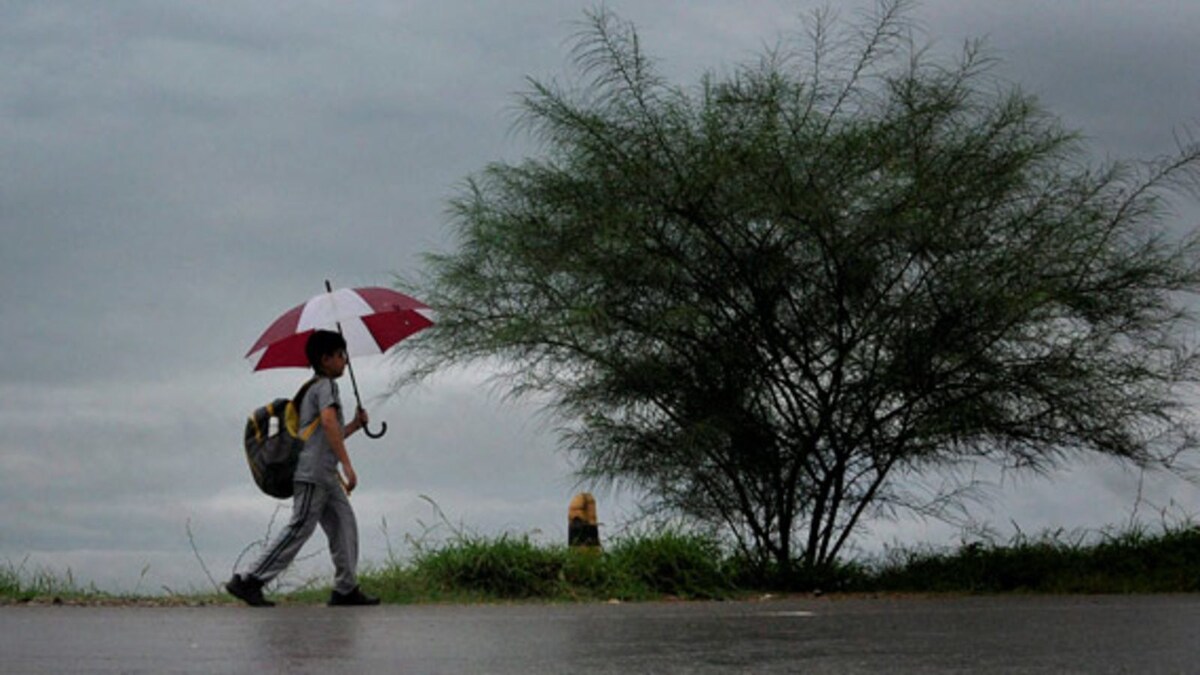 Southwest Monsoon Likely to Further Advance Over Parts of Bay of Bengal, Arabian Sea in Next 48 Hrs