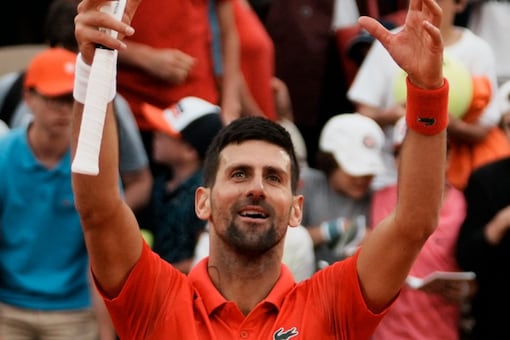 Novak Djokovic celebrates after win (AP Image)