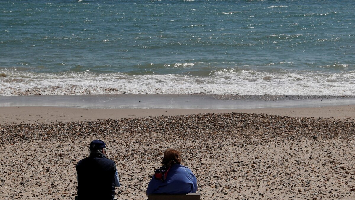 New Zealand Set To Reopen To Travelers From EndJuly News18