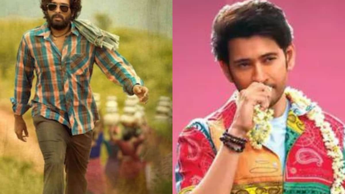 'Sudden Star' to 'Action King': Telugu Actors Have Amusing Nicknames You Probably Didn't Know