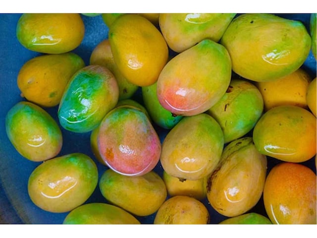 The Mango Festival will get over on July 20. (Image: NW18)