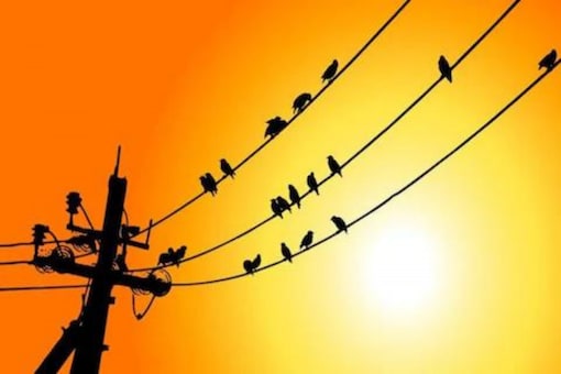 We see a group of birds chilling on the wire comfortably but the current never strikes them. 