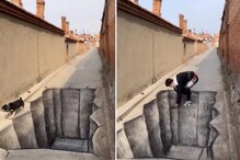 Watch: Dog Changes its Path After Seeing 3D Painting of Ditch on the Road