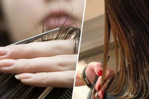 Why Don't We Feel Pain When We Cut Our Hair Or Nails? Why Don't We Feel Pain When We Cut Our Hair Or Nails?