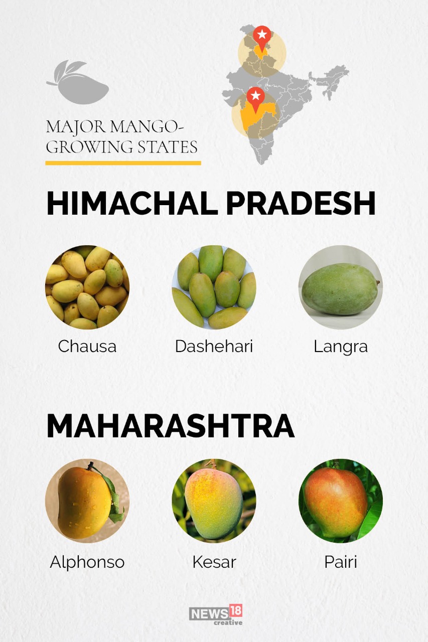 Love Mangoes? Here's The Mango Map of India - News18