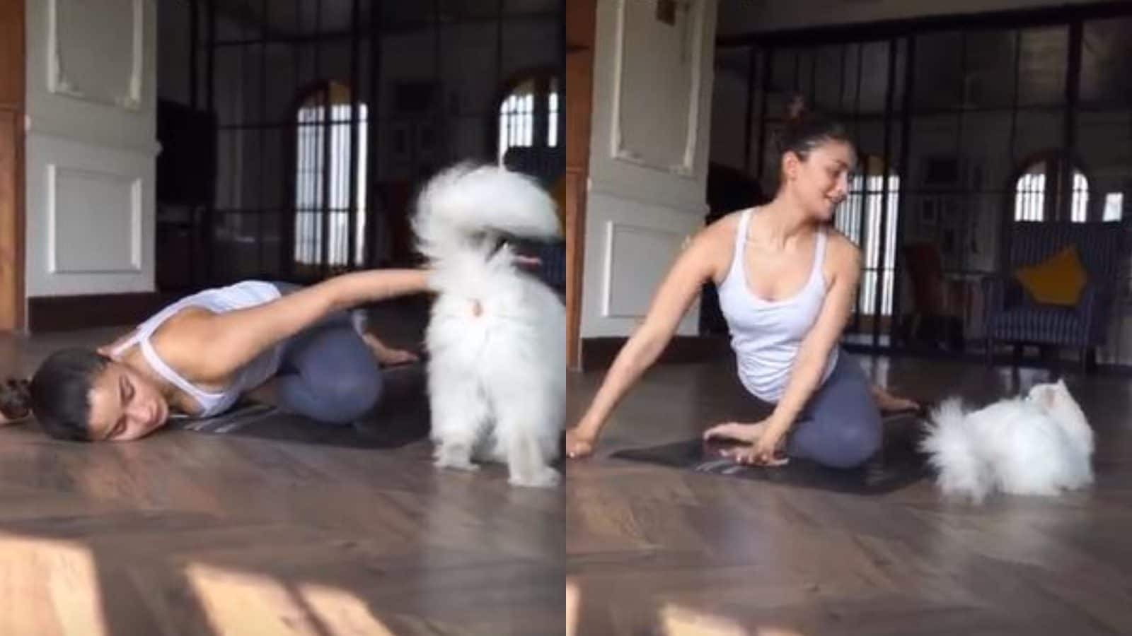 Alia Bhatt Has the Most Adorable Partner for International Yoga Day and We  Can't Take Our Eyes Off Them - News18