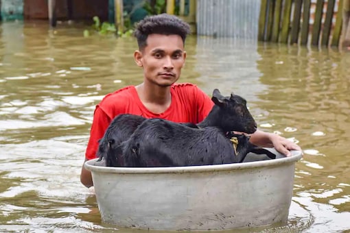 A man carries his livestock in a tub as he moves to a safer place from a flood-affected area of Kamarkuchi village, in Nalbari district. (PTI Photo)