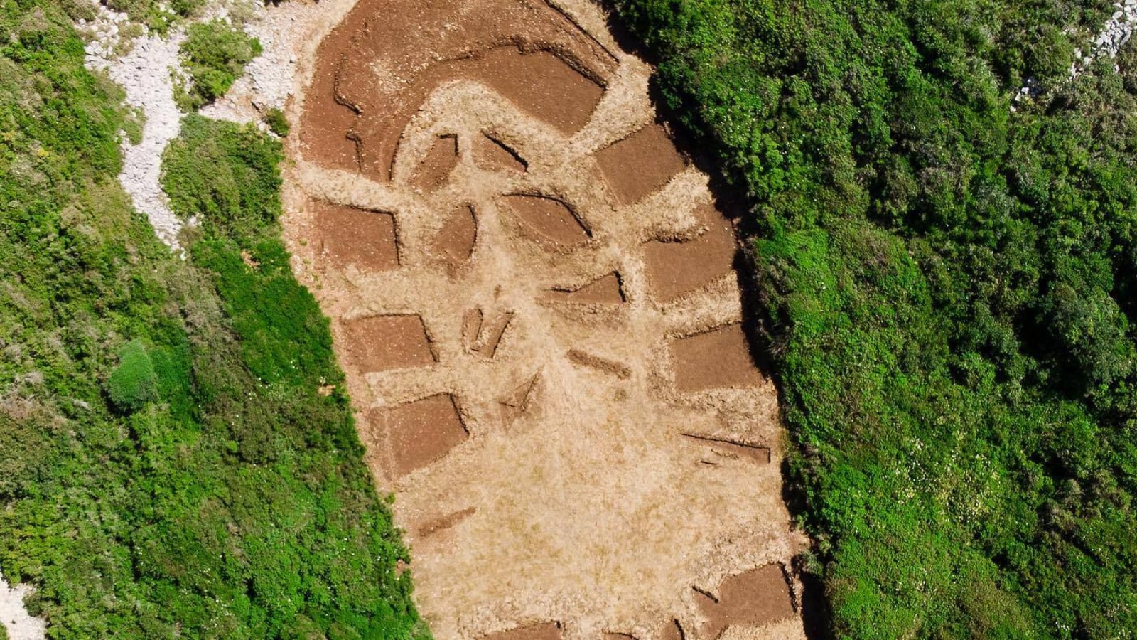 Take Notice: This Giant Footprint Symbolizes the Destruction of Nature ...