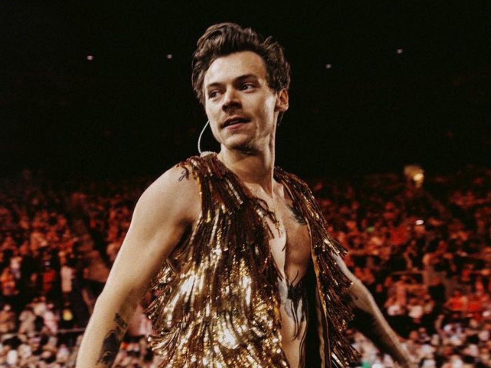 Harry Styles' Fan Falls From Balcony 