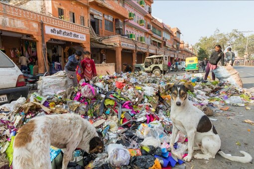 With our cities and towns getting increasingly clogged with plastic waste which is killing animals every day, there is no doubt that it is a public health hazard that is leeching thousands of chemicals into our oceans, soil and food. (Shutterstock)