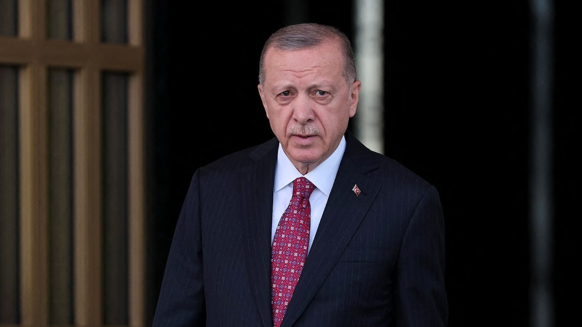 Turkish President Erdogan Makes Call to 'Intensify' Efforts to End War in Ukraine