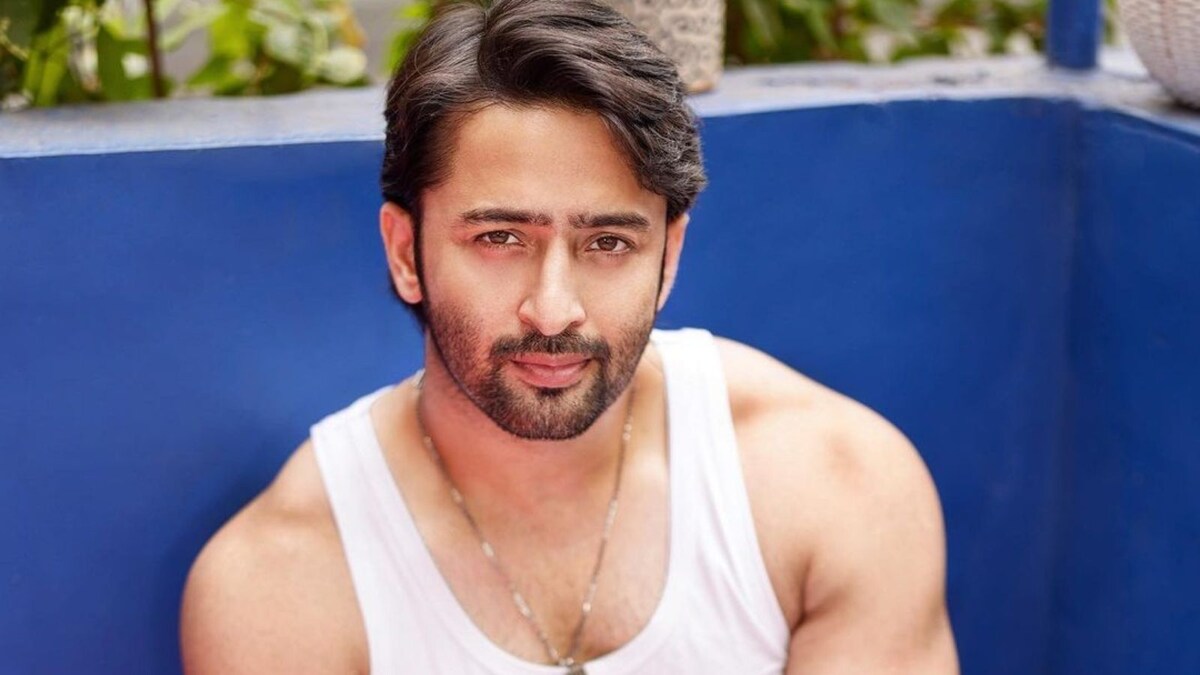 Shaheer Sheikh Says His Daughter 'Chills' With Him; Adds 'Even Her Mother Is Jealous of Me'