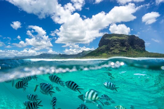  One of the most adored and visited island tourist destinations in the world is Mauritius. (Photo: Shutterstock)