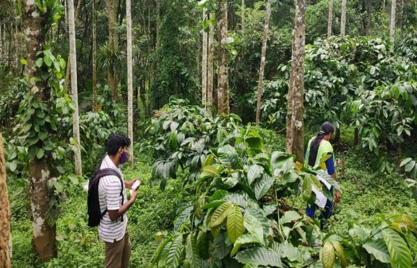 Meenangadi in Kerala’s Wayanad district, is pioneering “tree banking” initiative.